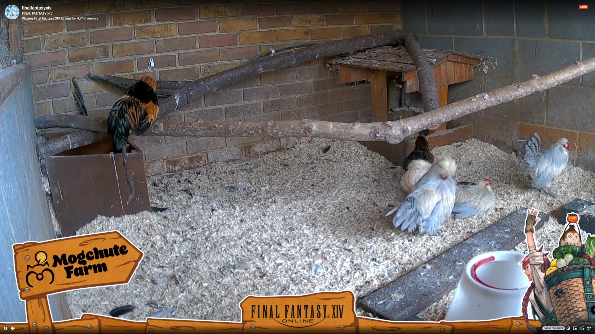 Farming In FFXIV But Not Quite As Expected In Island Sanctuary Patch